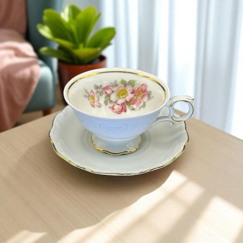 Schumann Arzberg Porcelain Tea Cup and Saucer Wild Roses Gilt Trim Swirl